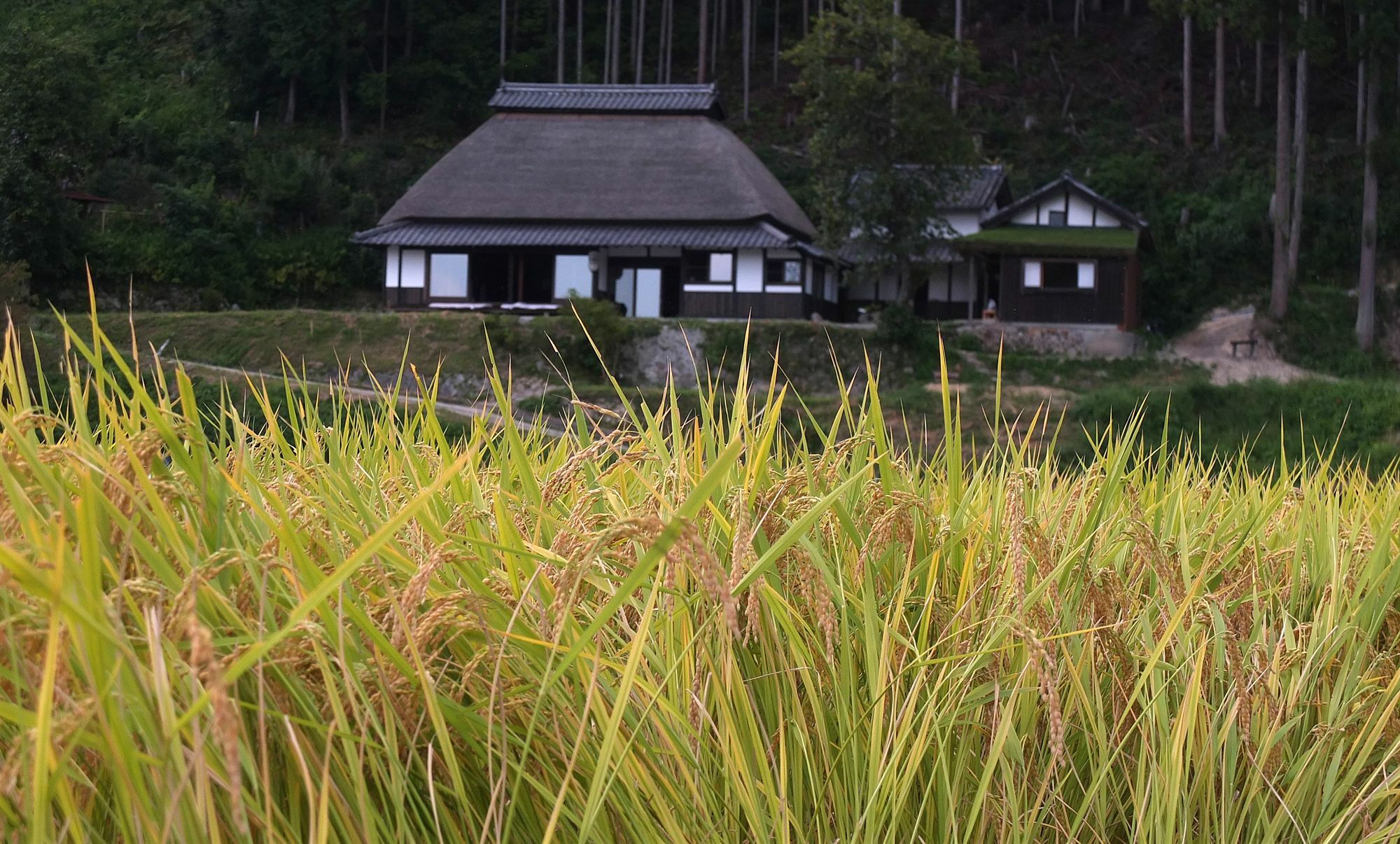 Sasayuri-Ann Villa Nara Luaran gambar